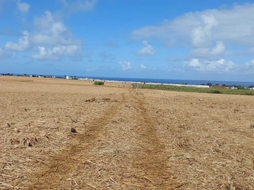 Agricultural Land