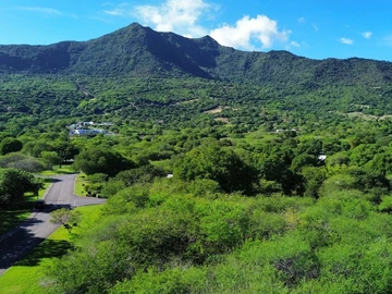 Commercial Land