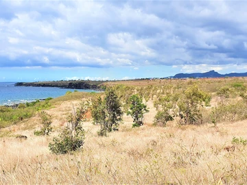 Residential Land