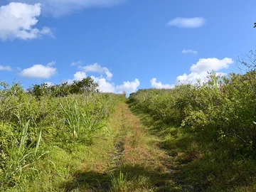 Terrain Agricole