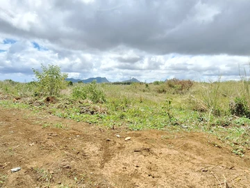 Residential Land