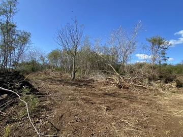 Terrain Agricole