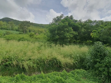 Agricultural Land