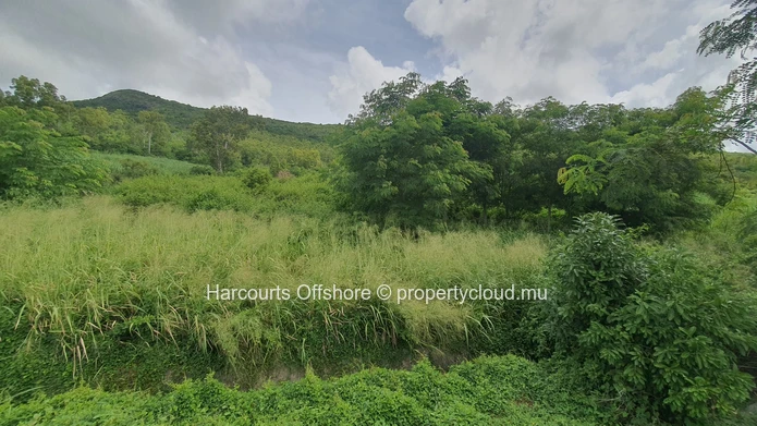 Expansive 5856 m² Agricultural Land for Sale in Verdun, Mauritius