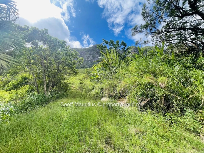 Terrain Agricole avec Vue Imprenable sur les Montagnes – Une Opportunité d'Investissement interessant