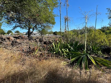 Residential Land