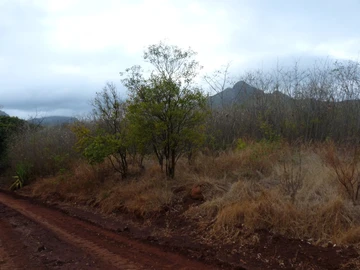 Residential Land