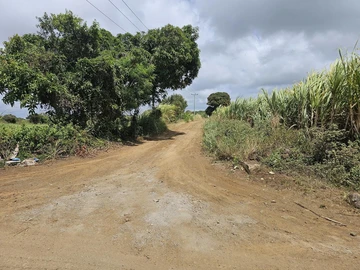 Agricultural Land