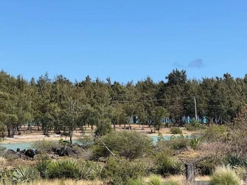 Terrain