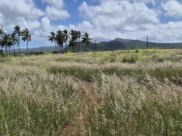 Residential Land