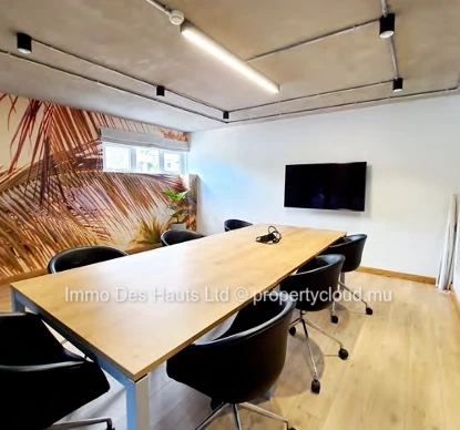 Office space for rent Pointe aux Canonniers 