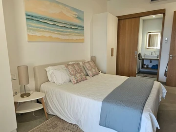 3 Bedroom Penthouse