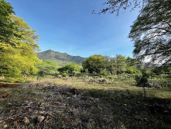 Terrain Résidentiel De 1 146 m² – Les Riverains