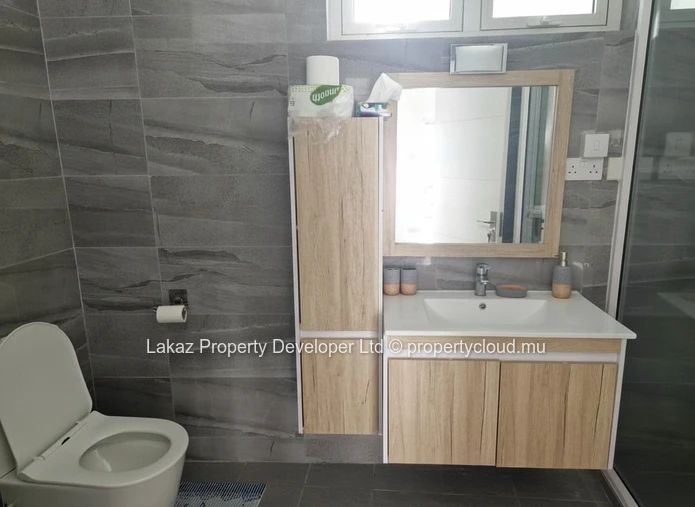 Maison meublée 3 chambres avec piscine à louer à Calodyne