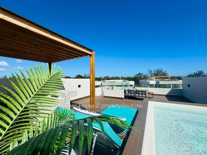 Location meublée - Penthouse 2 chambres - rooftop avec piscine privée - POINTE AUX CANONNIERS.