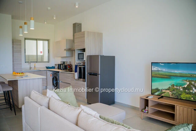 A Contemporary Apartment, Ready To Move In