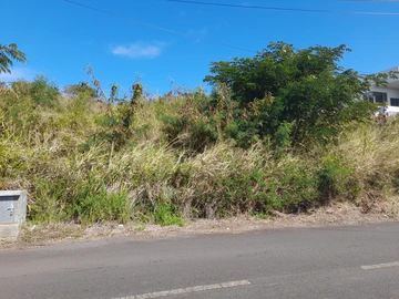 Big land in Coromandel 