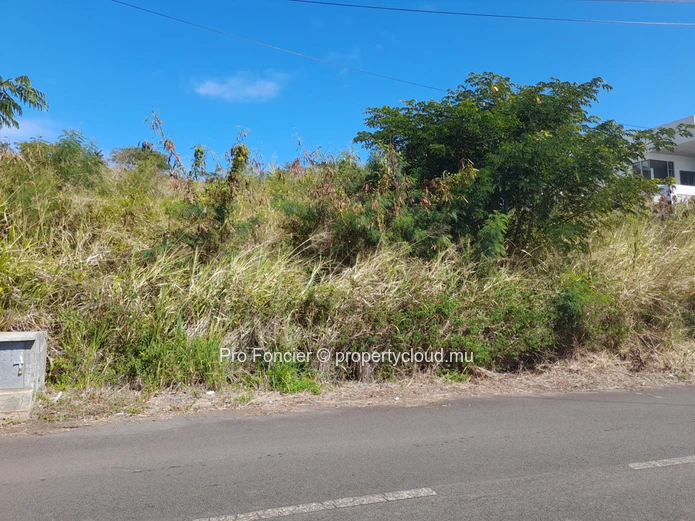 Big land in Coromandel 