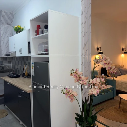 Studio for Sale - Beachfront, Flic en Flac, West