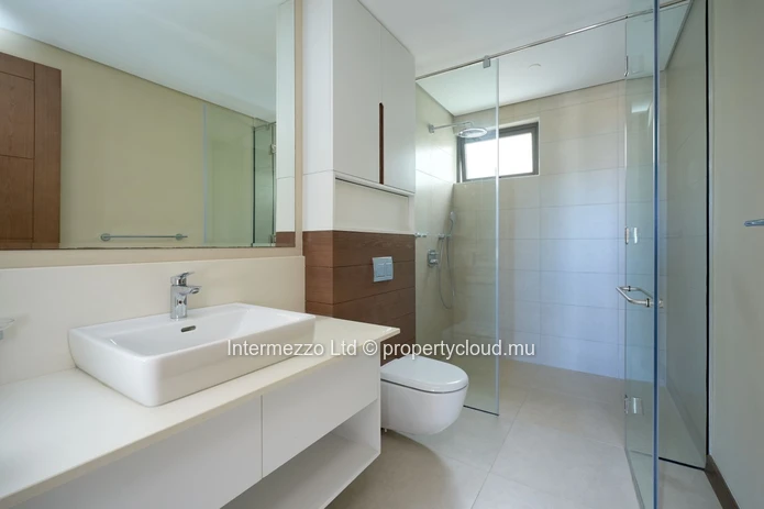 partment Private Rooftop Pool Pointe aux Canonniers | 650000 USD