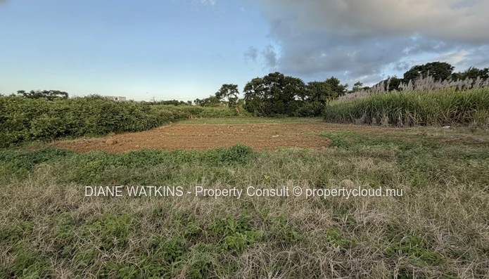 Terrain résidentiel à vendre à Rose Belle, Maurice – 40 perches dans un secteur en plein essor