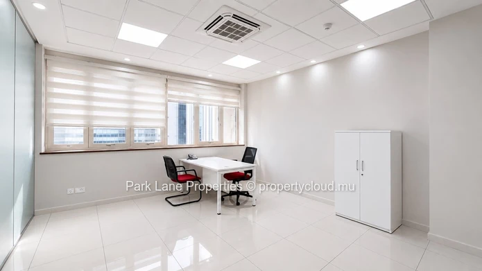 445 m² Office Space for Rent in Caudan | Multi-Unit Commercial Workspace