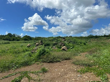 Residential Land