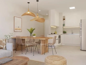 3 Bedroom Penthouse
