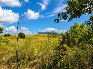 Agricultural Land