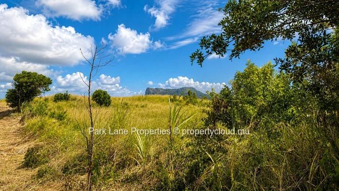 Vaste terrain agricole de 15 360 m² à Trianon – Vue panoramique sur la montagne