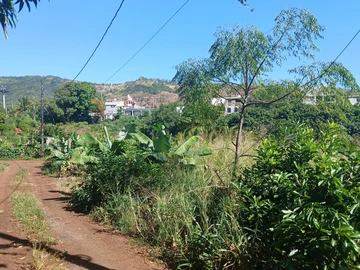 Agricultural Land