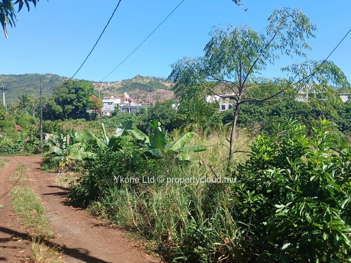 Agricultural Land For Sale In Bois Pignolet, Terre Rouge