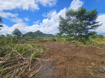 Terrain Agricole