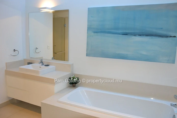 Luxurious and spacious duplex