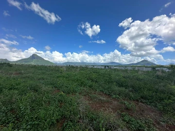 Land