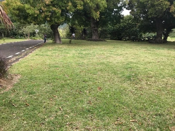 Olivia's Enchanting Land