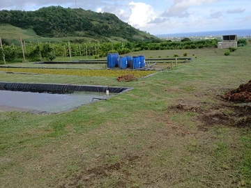 Agricultural Land