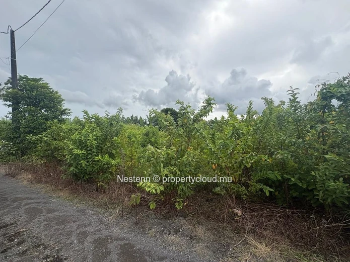 Spacious 2,242.36m² residential land 