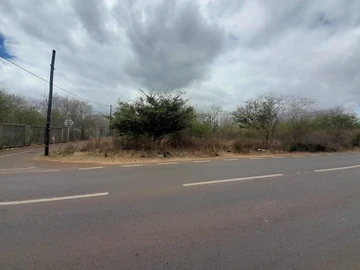 Agricultural Land