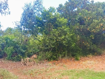 Agricultural Land