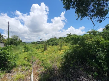 Prime Residential Land in Flacq - A Developer's Dream!