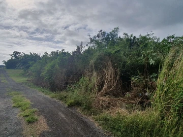 Residential Land