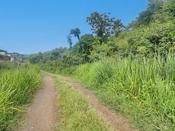Terrain