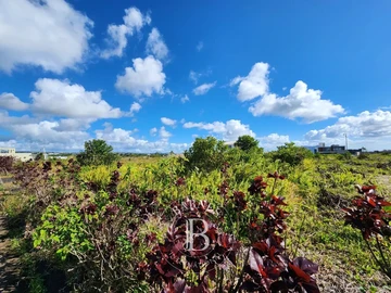 Residential Land