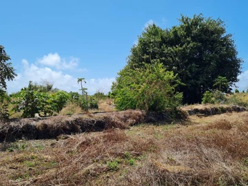 Terrain Agricole