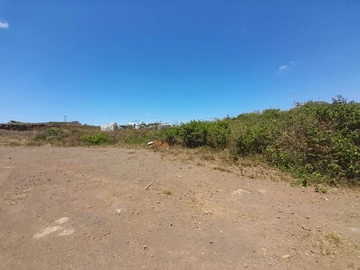 Agricultural Land