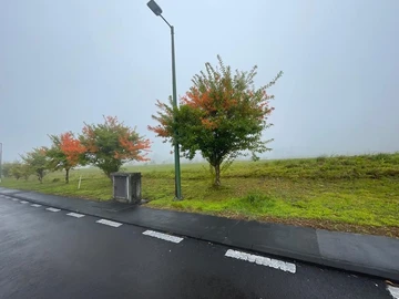 Residential Land