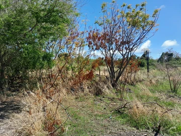 Residential Land