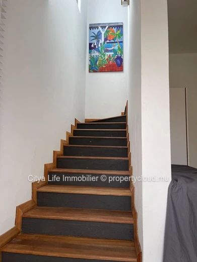 Maison 3 chambres avec piscine privée à vendre à Grand Baie