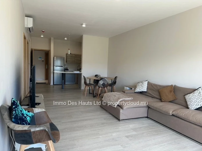 2-bedroom Apartment fully furnished for rent Moka 